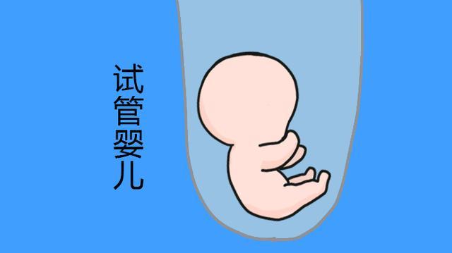 助孕机构服务范围